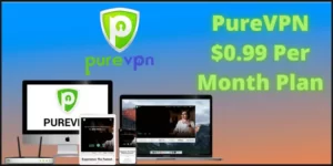 PureVPN $0.99 Per Month Plan